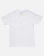 画像をギャラリービューアに読み込む, SABA T
