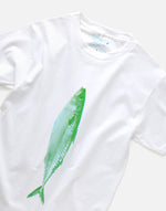 画像をギャラリービューアに読み込む, SABA T
