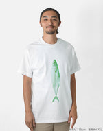 画像をギャラリービューアに読み込む, SABA T
