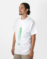 画像をギャラリービューアに読み込む, SABA T
