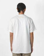 画像をギャラリービューアに読み込む, SABA T
