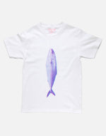 画像をギャラリービューアに読み込む, BURI T
