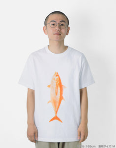 **y様 トウコ　サザレ　マツバの確信　カイ SAR他 ６枚セット サトーパーツ株式会社は納期・品質・サービスで、ものづくりに