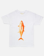 画像をギャラリービューアに読み込む, MAGURO T
