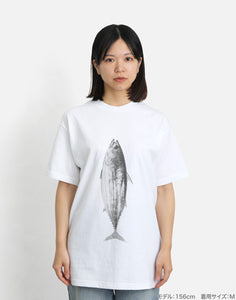 KATSUO T – PAPERSKY STORE