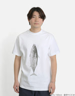 画像をギャラリービューアに読み込む, KATSUO T
