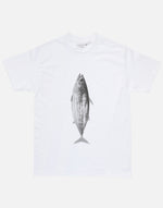 画像をギャラリービューアに読み込む, KATSUO T
